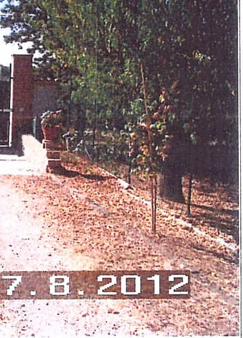 Photo: Immobile residenziale in Velletri (RM)