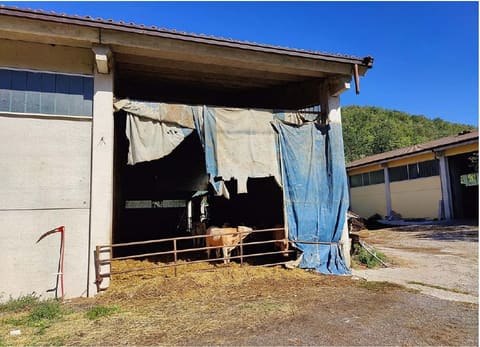 Photo of the lot 3