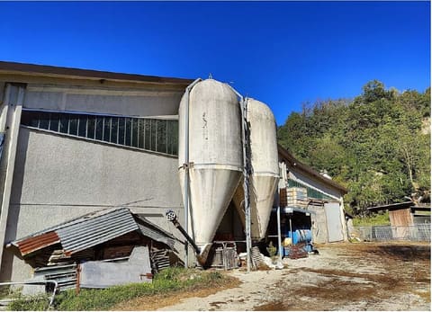 Photo of the lot 4