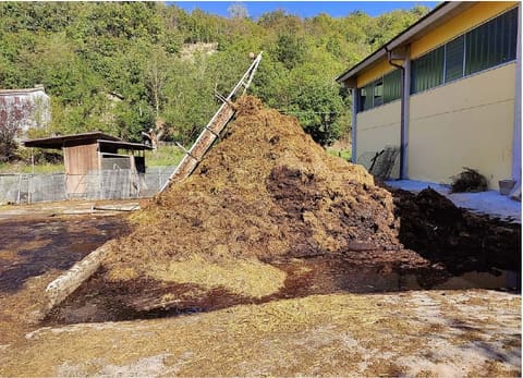 Photo of the lot 5
