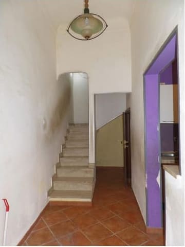 Photo of the lot 3