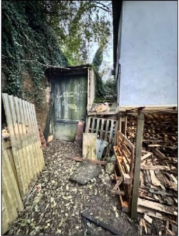 Photo of the lot 2