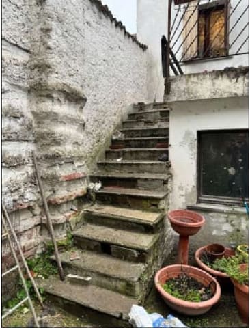 Photo of the lot 3