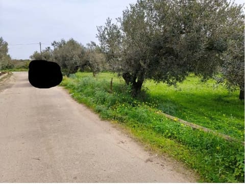 Photo: Altra categoria in Castelvetrano (TP)