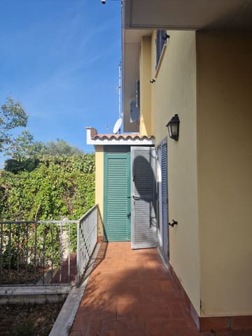 Photo of the lot 3
