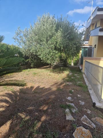 Photo of the lot 6