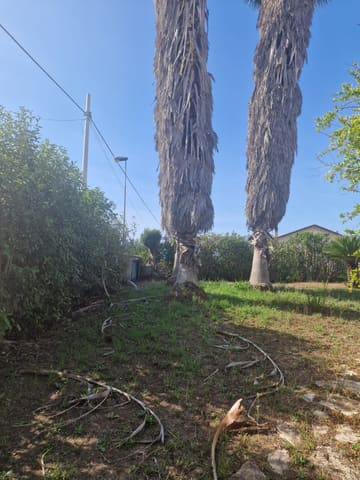 Photo of the lot 7