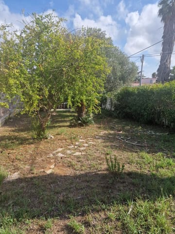 Photo of the lot 8