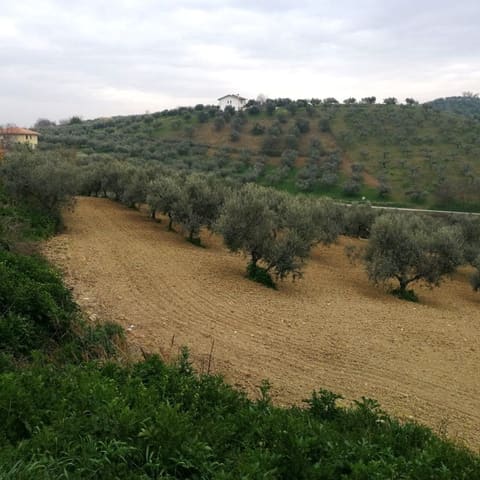 Photo: Altra categoria in Pianella (PE)