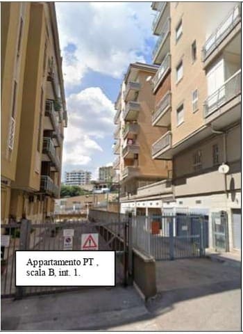 Photo of the lot 2