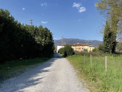 Photo: Altra categoria in Capannori (LU)