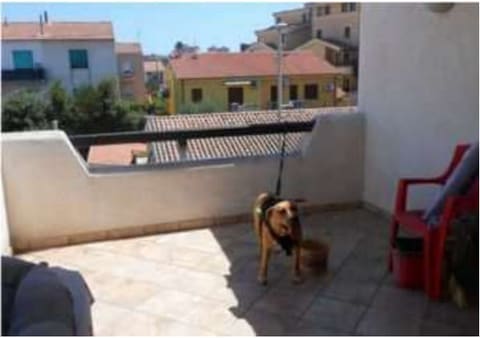 Photo: Immobile commerciale in Olbia (OT)