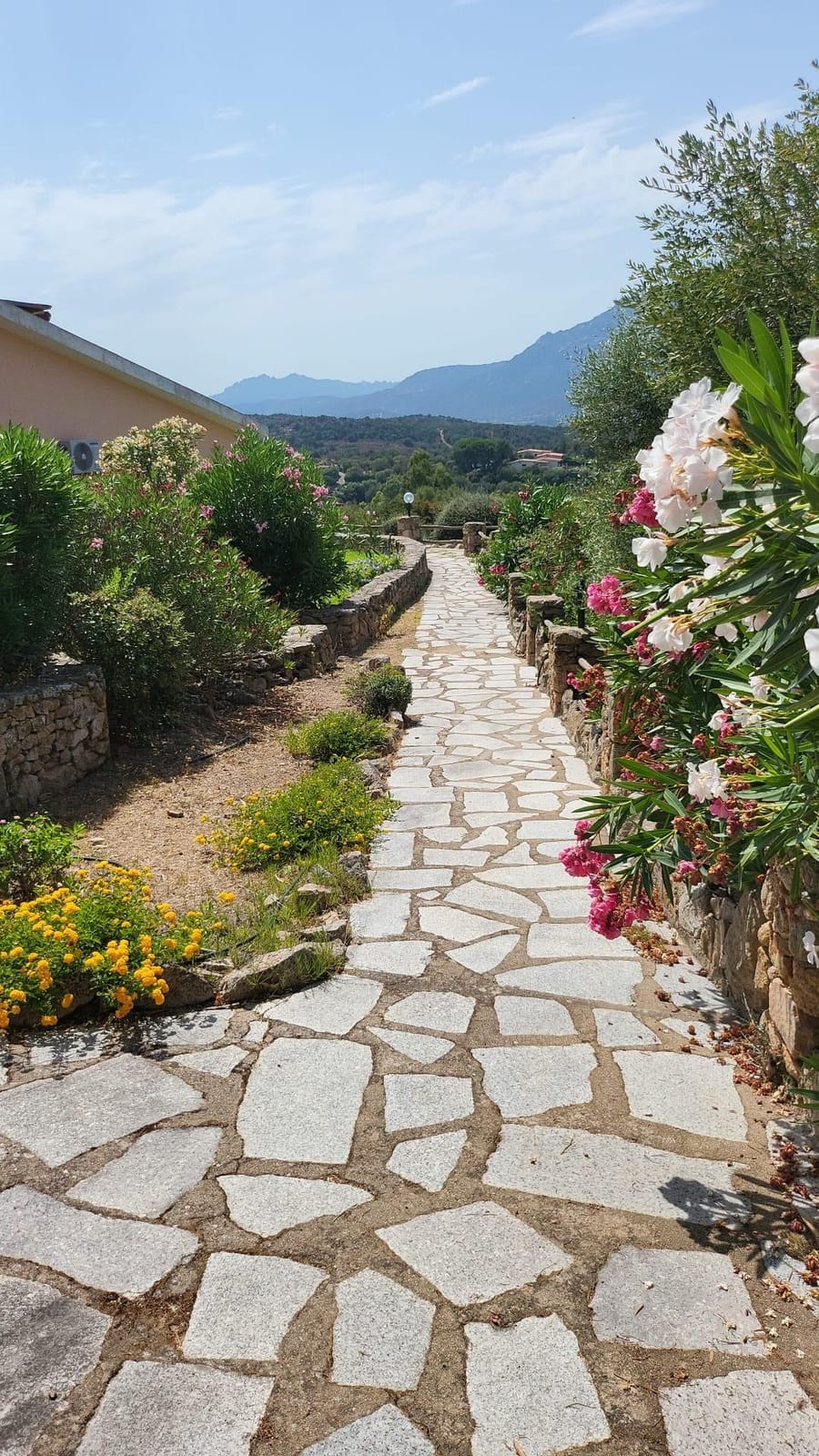 Photo of the lot: Immobile residenziale in Olbia
