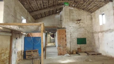 Photo of the lot 3