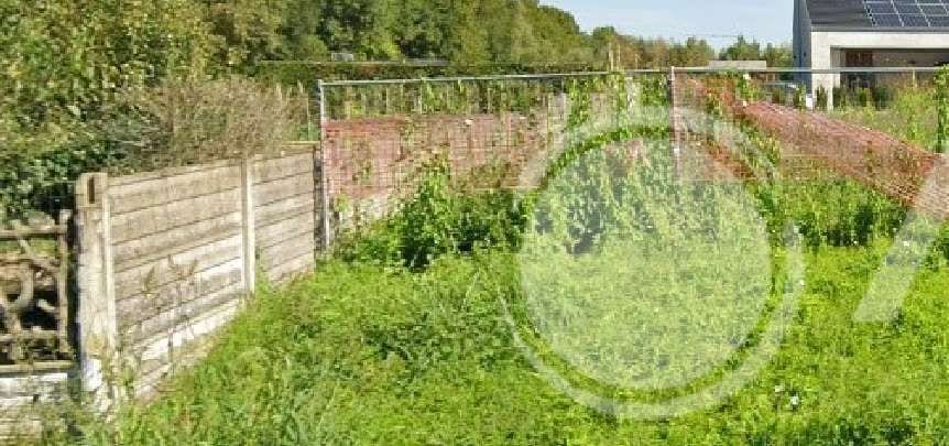 Foto del lotto: Altra categoria a Borgoricco