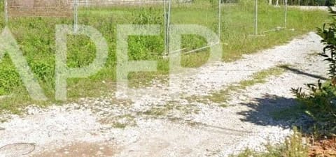 Foto del lotto 8