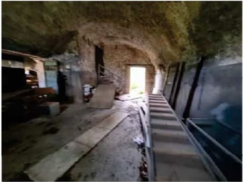 Photo of the lot 3