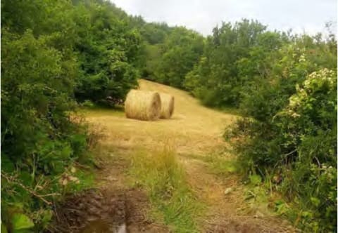 Photo: Immobile residenziale in Ferriere (PC)