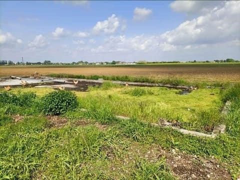 Photo of the lot 2
