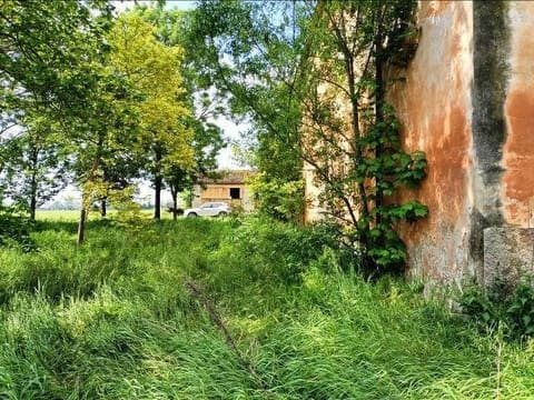 Photo of the lot 2