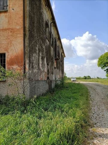 Photo of the lot 3