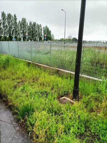 Photo of the lot 1