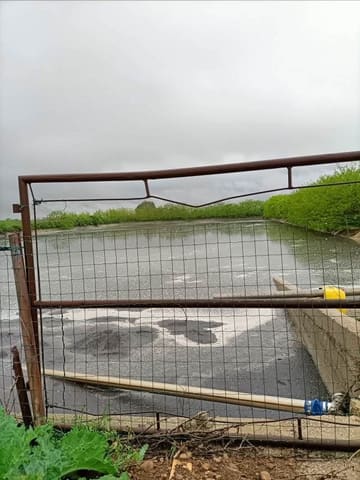 Photo of the lot 2
