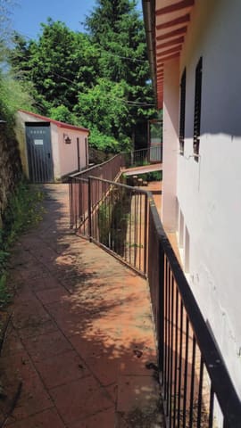 Photo of the lot 3