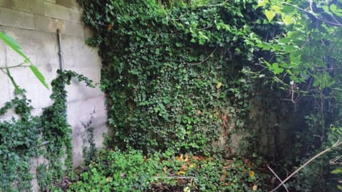 Photo of the lot 8