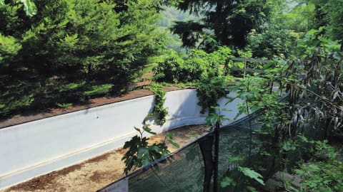Photo of the lot 7