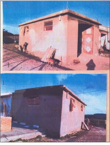 Photo of the lot 5