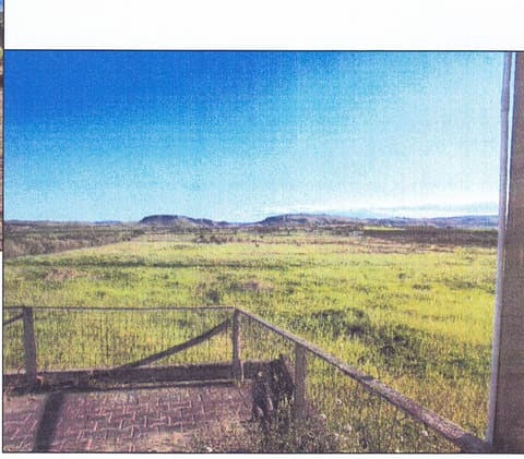 Photo of the lot 6