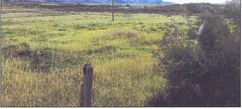 Photo of the lot 8