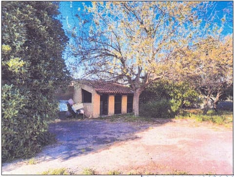 Photo of the lot 4