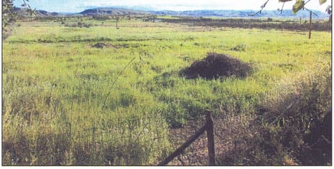 Photo of the lot 7