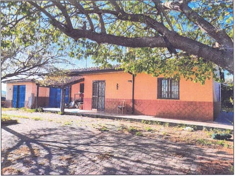 Photo of the lot 2