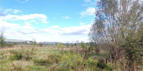 Photo of the lot 6