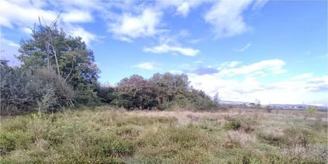 Photo of the lot 7