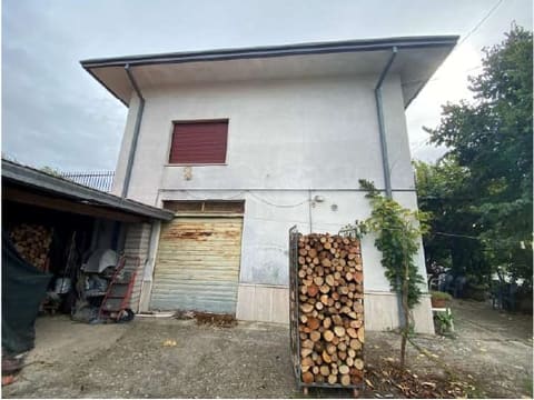 Photo of the lot 2