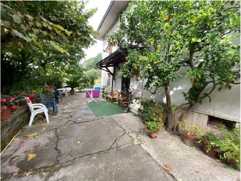 Photo of the lot 3