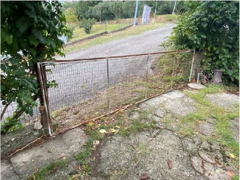 Photo of the lot 5