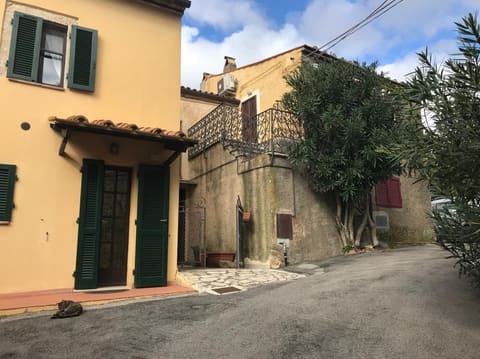 Photo of the lot 2