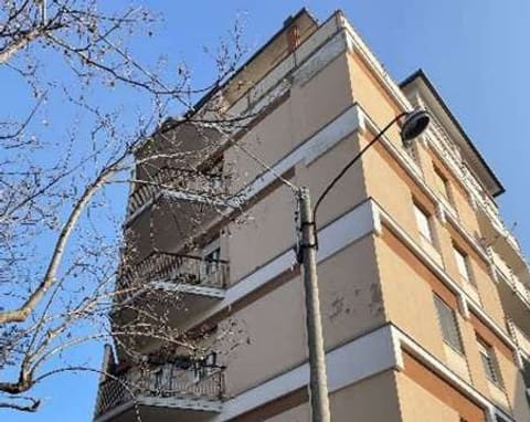 Photo of the lot 4
