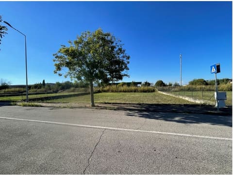 Photo: Altra categoria in Curtatone (MN)