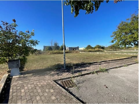 Photo of the lot 2