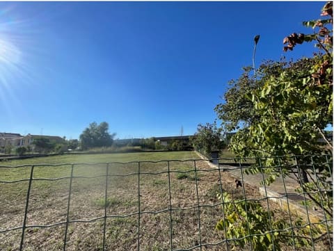 Photo of the lot 1