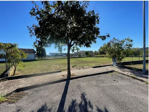 Photo of the lot 2