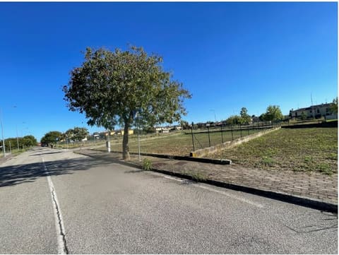 Photo: Altra categoria in Curtatone (MN)