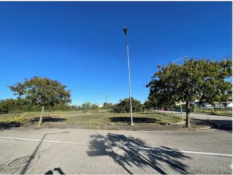 Photo: Altra categoria in Curtatone (MN)