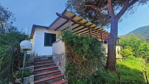 Photo of the lot 1